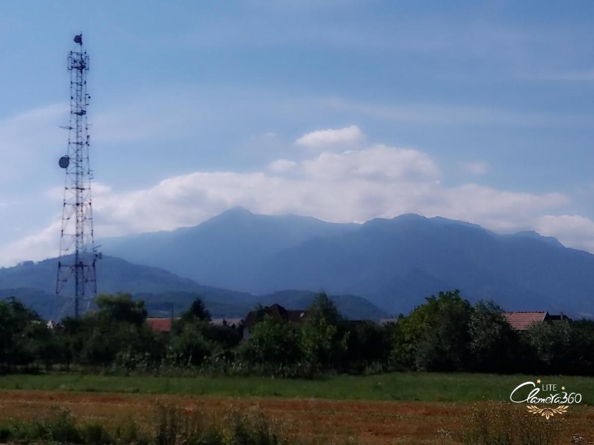 Cazare Apartament Rasnov Apartman Kültér fotó